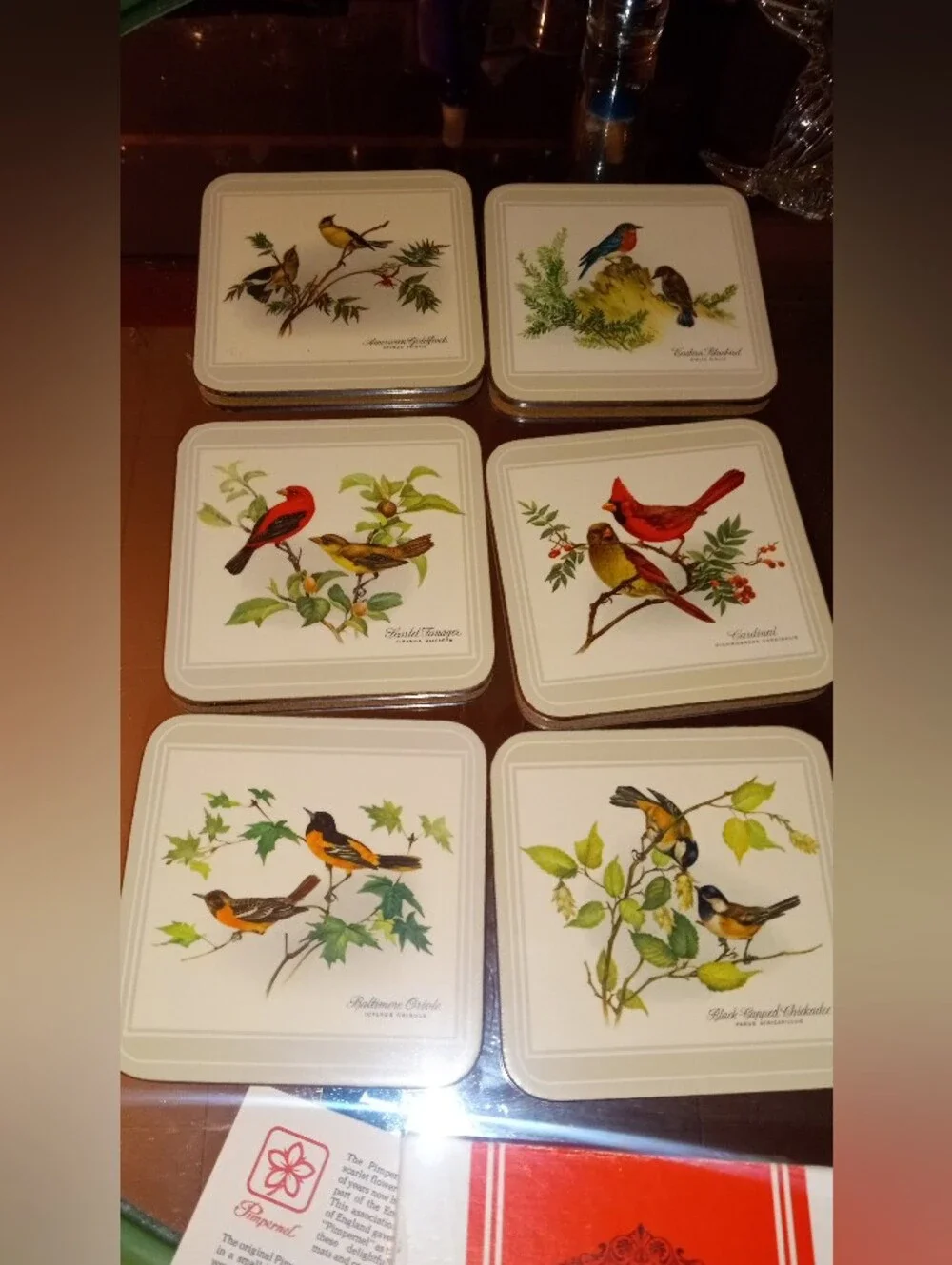 Vintage Pimpernel Acrylic Coasters Set of 6 - North American Song Birds w/ Box